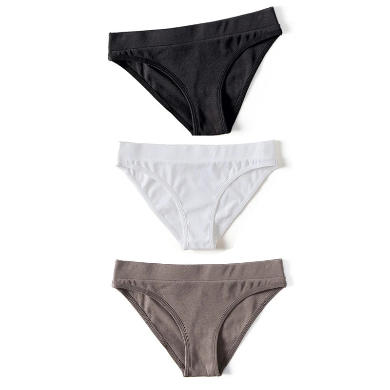 Everyday Brief 3-Pack