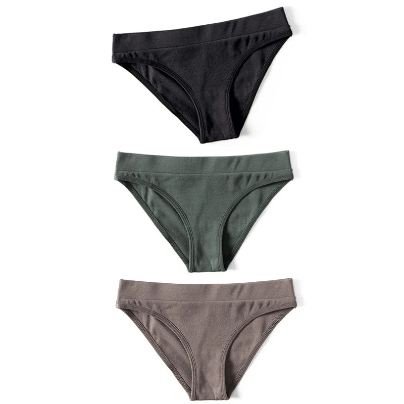 Everyday Brief 3-Pack