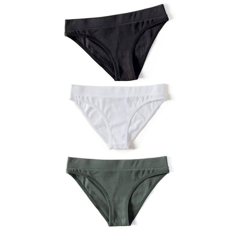 Everyday Brief 3-Pack