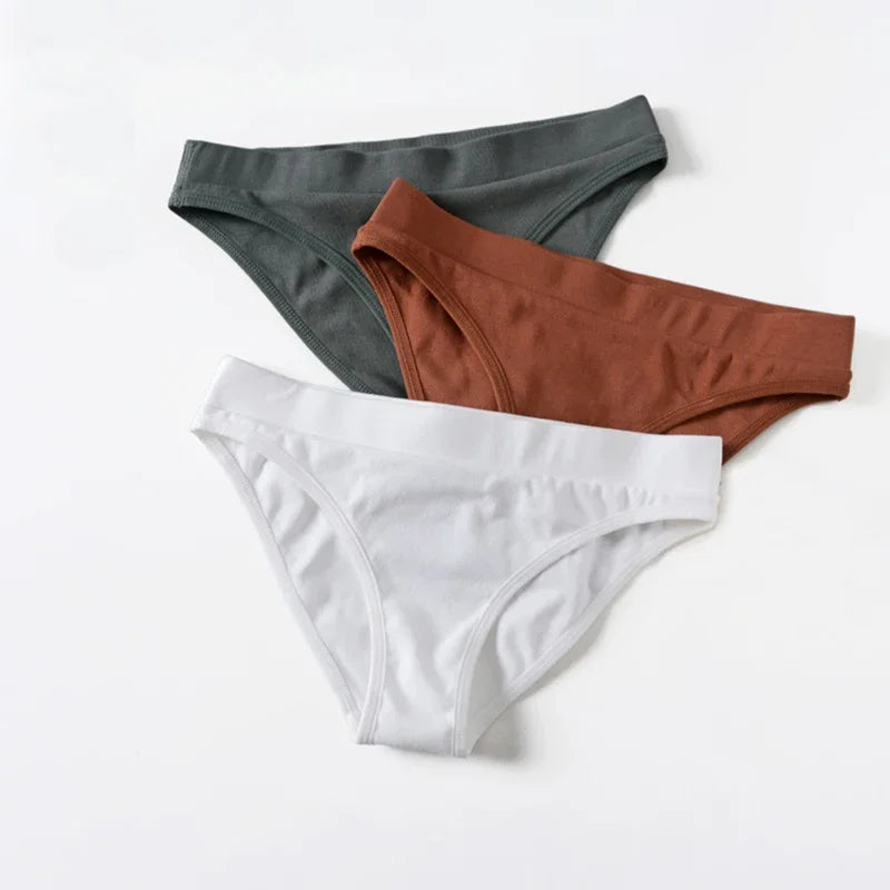 Everyday Brief 3-Pack